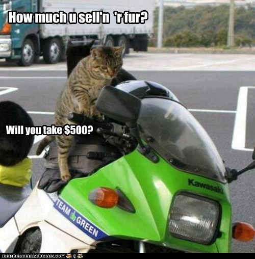 How much u sell'n  'r fur?