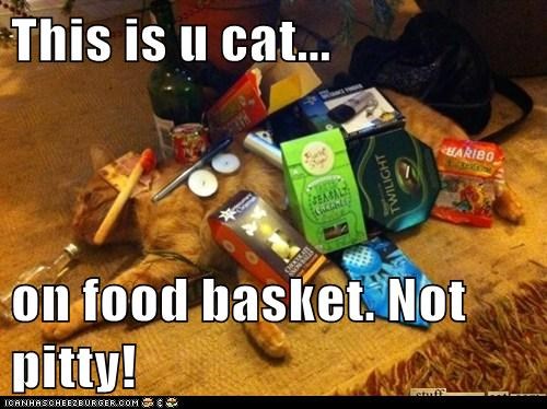 This is u cat...  on food basket. Not pitty!
