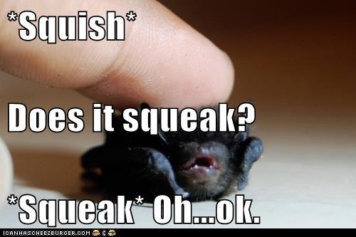 *Squish* Does it squeak? *Squeak* Oh...ok.