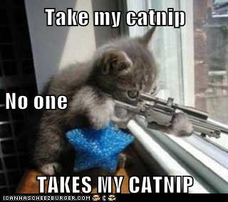 Take my catnip No one  TAKES MY CATNIP
