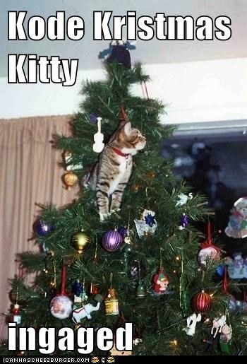 Kode Kristmas Kitty  ingaged