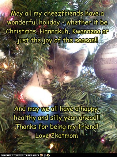 May all my cheezfriends have a wonderful holiday - whether it be Christmas, Hannakuh, Kwannzaa or just the joy of the season!!