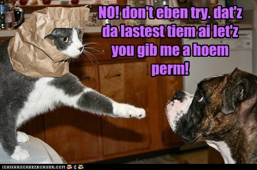 Relakz, it'll grow owt