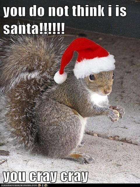 you do not think i is santa!!!!!!  you cray cray