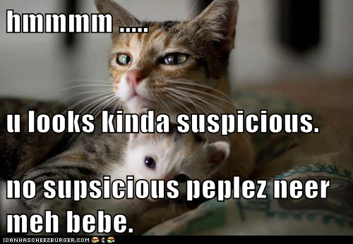 hmmmm ..... u looks kinda suspicious. no supsicious peplez neer meh bebe.