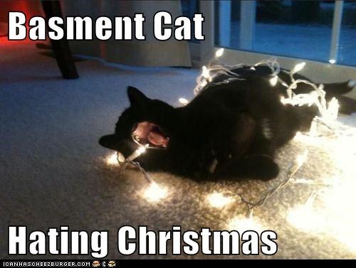Basment Cat  Hating Christmas