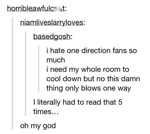 You Know What I Hate Most About One Direction Fans?...