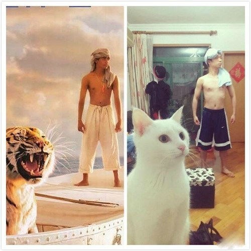 Who Wore it Better?