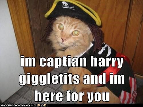 im captian harry giggletits and im here for you