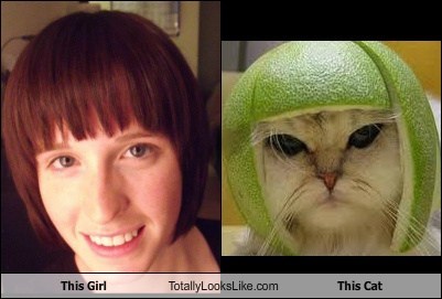 This Girl Totally Looks Like This Cat
