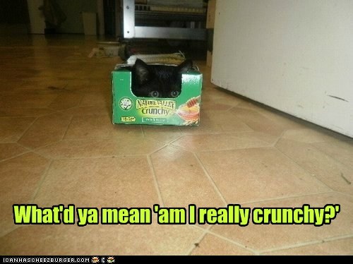 What'd ya mean 'am I really crunchy?'