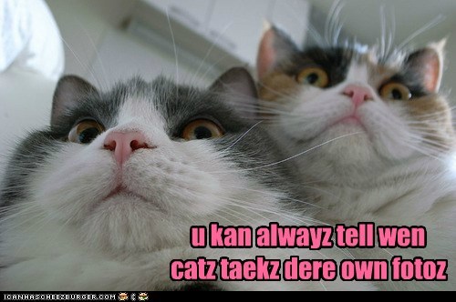 Hey! U Guyz get away frum mai kamera!