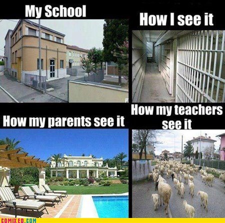 School is a Matter of Perception