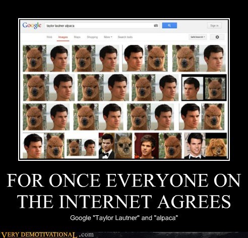 FOR ONCE EVERYONE ON THE INTERNET AGREES