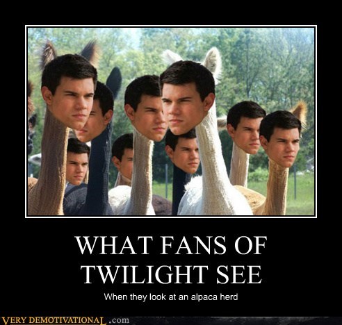 WHAT FANS OF TWILIGHT SEE
