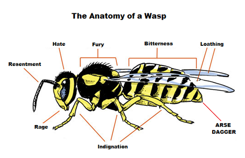 Wasps Are Horrible Creatures