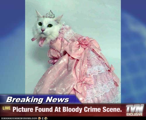 Breaking News - Picture Found At Bloody Crime Scene.