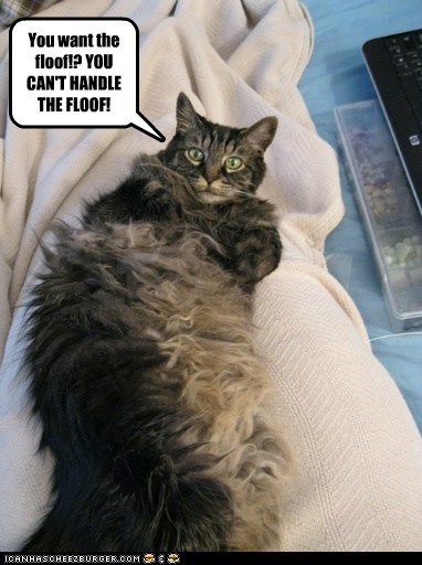 You want the floof!?