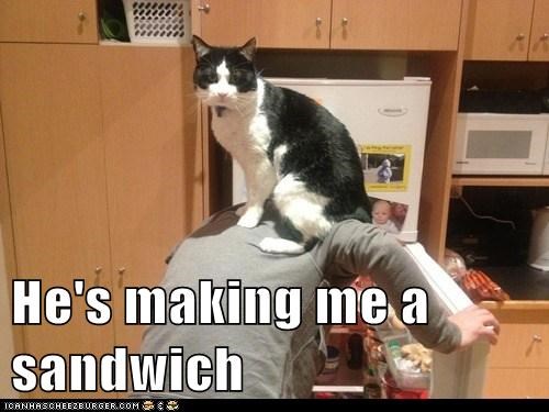 He's making me a sandwich
