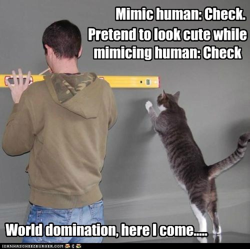 Mimic human: Check.