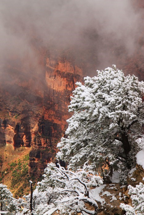 Clash of Seasons in the Grand Canyon