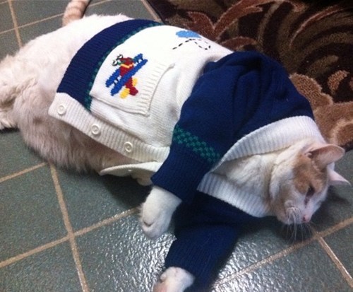 "I Shouldn't Have Drank So Much Eggnog"