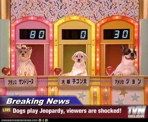 Breaking News - Dogs play Jeopardy, viewers are shocked!