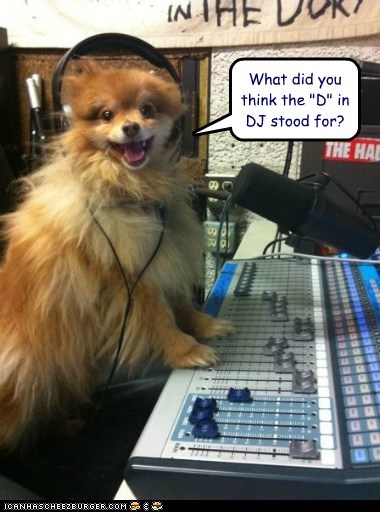 It stands for "Dog" - DUH! 