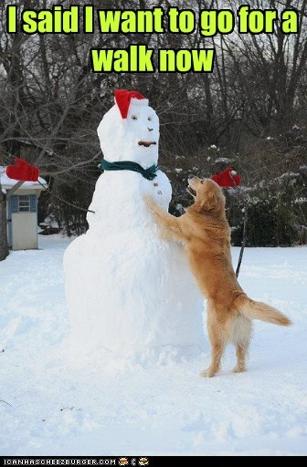 Walk meh snowman plz!