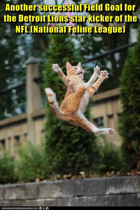 Another successful Field Goal for the Detroit Lions star kicker of the NFL (National Feline League)