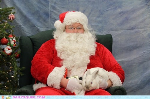 Holiday Reader Squee: Visiting Santa