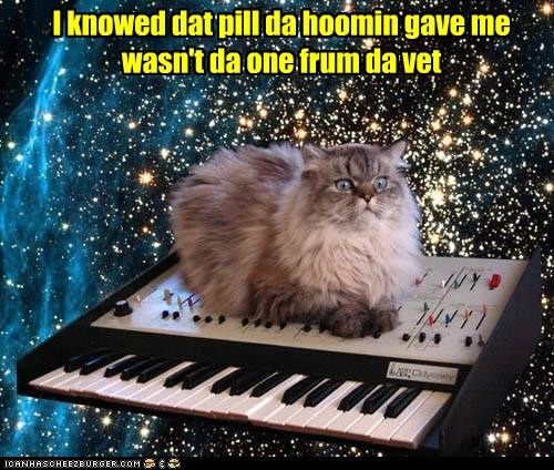 I knowed dat pill da hoomin gave me wasn't da one frum da vet