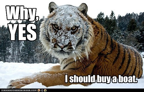 That Cat Has Some Good Ideas
