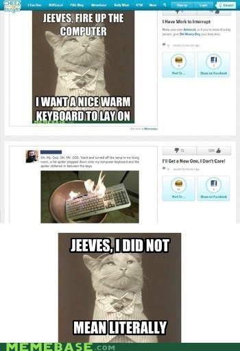 Really, Jeeves?