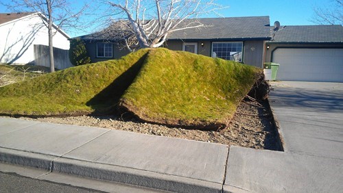 Lawn Decoration FAIL