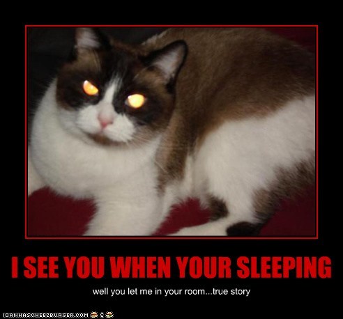 I SEE YOU WHEN YOUR SLEEPING