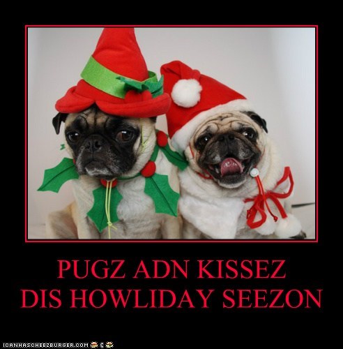 PUGZ ADN KISSEZ         DIS HOWLIDAY SEEZON