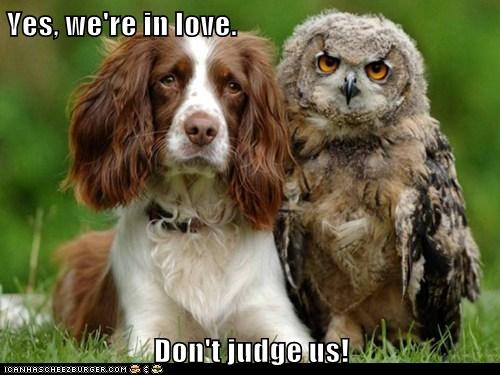 Yes, we're in love.  Don't judge us!