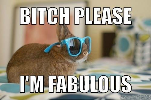 Fab Rabbit