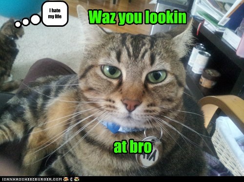 Waz you lookin at bro