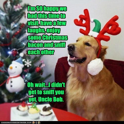 Canine Christmas...It's Pretty Much What You'd Think.