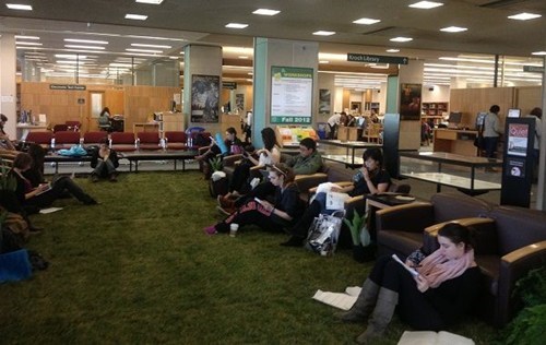 Get Your Lawn Out of My Library