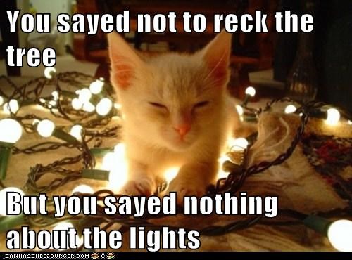 You sayed not to reck the tree  But you sayed nothing about the lights