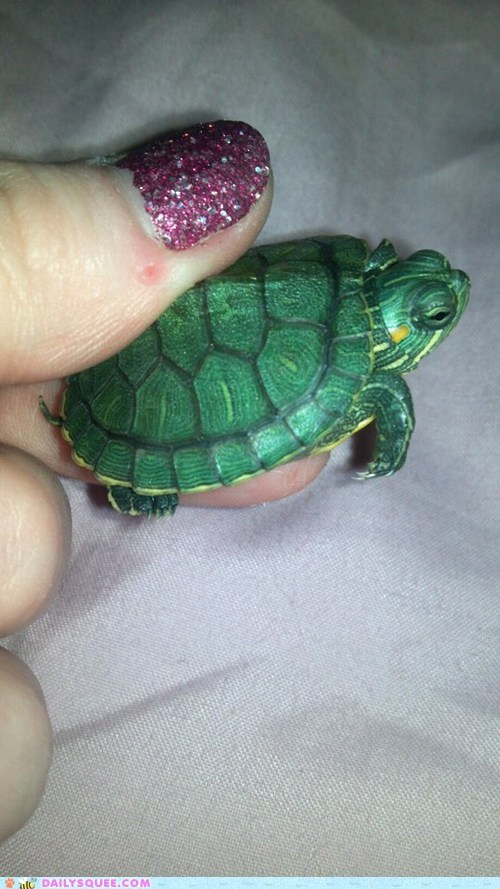 Reader Squee: Come Out and Play, Little Guy.