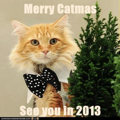 Merry Catmas  See you in 2013