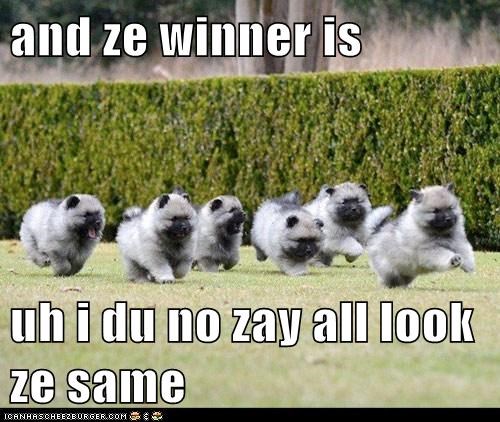 and ze winner is  uh i du no zay all look ze same