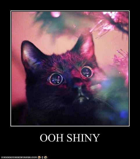OOH SHINY