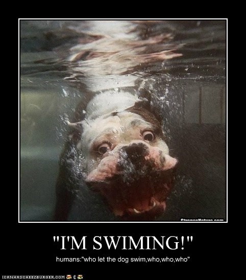 "I'M SWIMING!"
