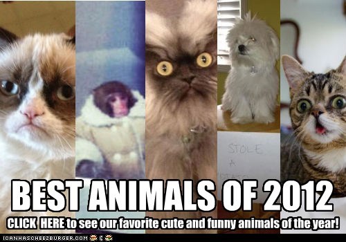 BEST ANIMALS OF 2012