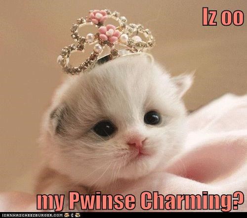 Iz oo  my Pwinse Charming?